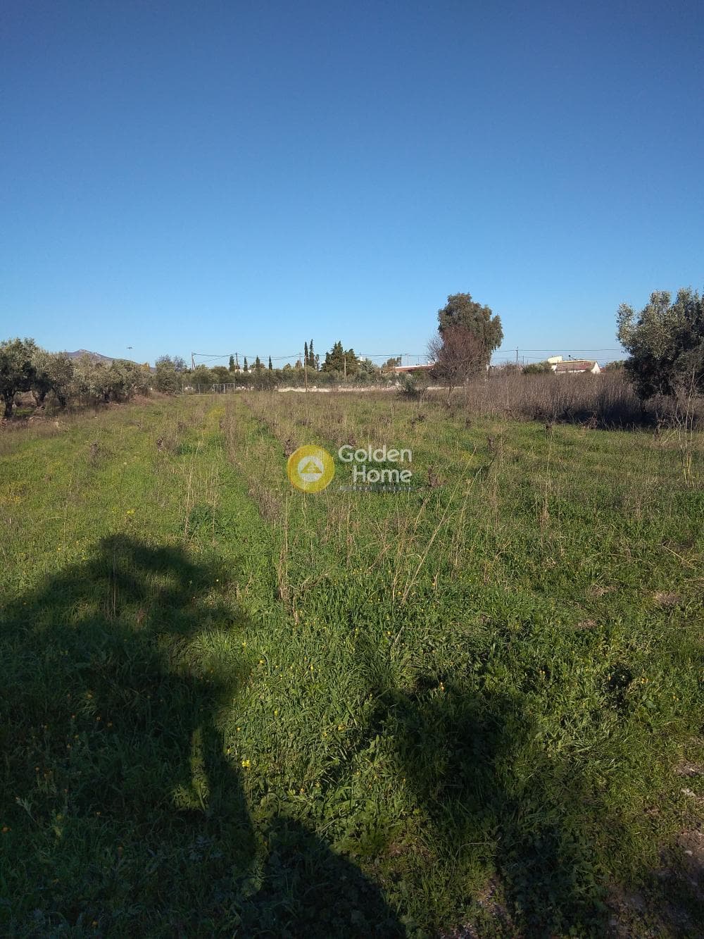 Parcel in Kesaria, Pallini — Photo 1 of 10