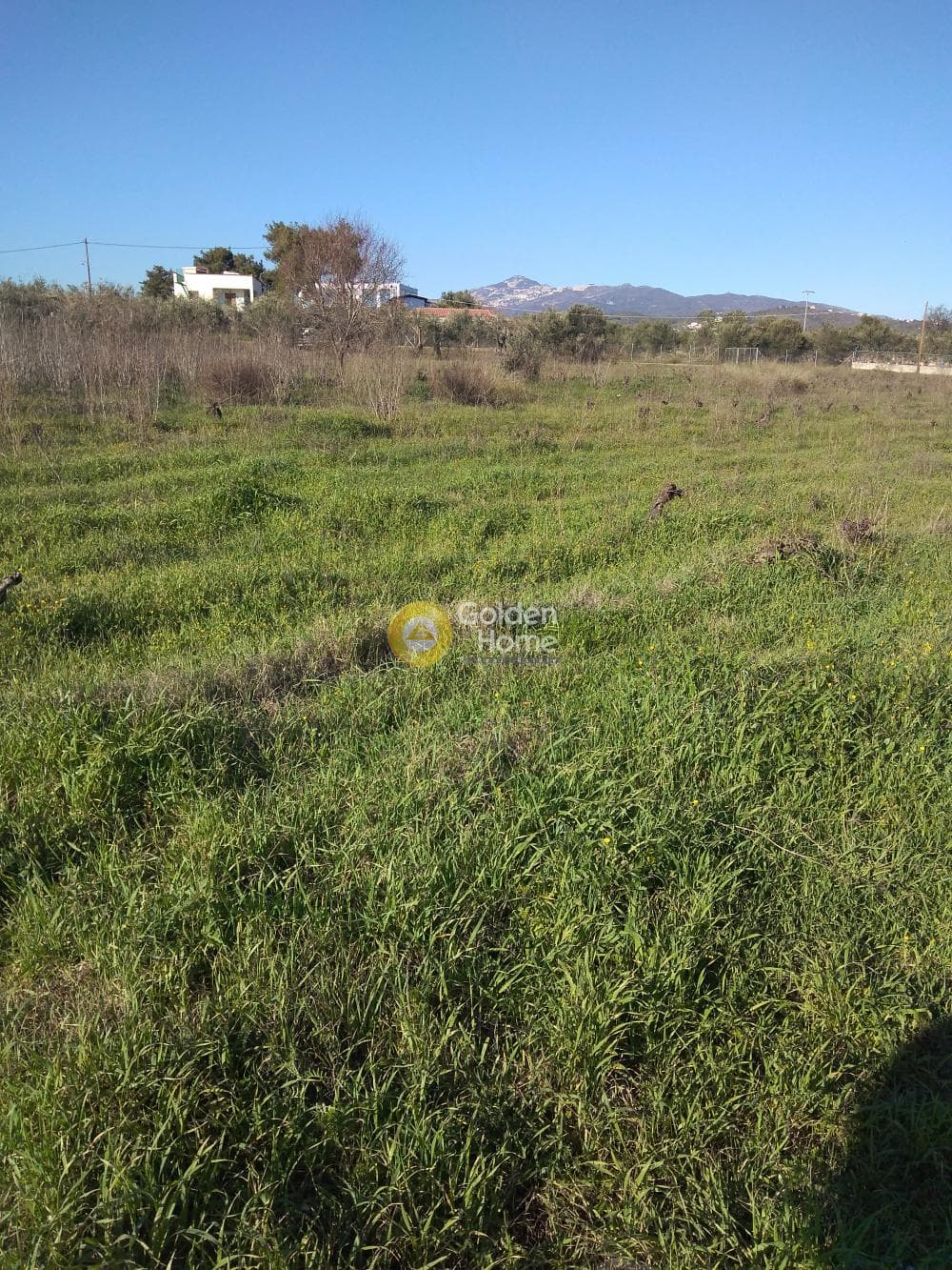 Parcel in Kesaria, Pallini — Photo 4 of 10