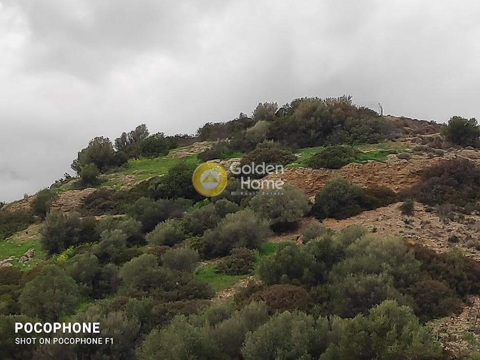 Αγροτεμάχιο στην Ξηρόκαμπος, Τυμπάκι — Φωτογραφία 6 από 21