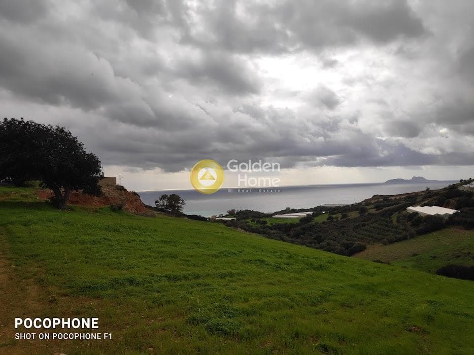 Αγροτεμάχιο στην Ξηρόκαμπος, Τυμπάκι — Φωτογραφία 17 από 21