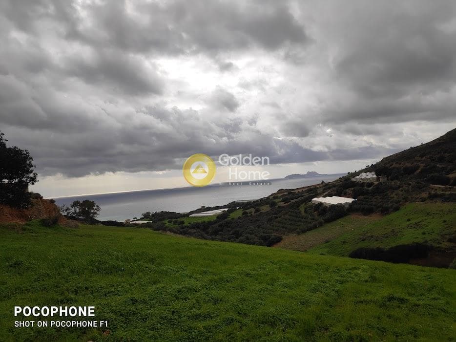 Αγροτεμάχιο στην Ξηρόκαμπος, Τυμπάκι — Φωτογραφία 15 από 21