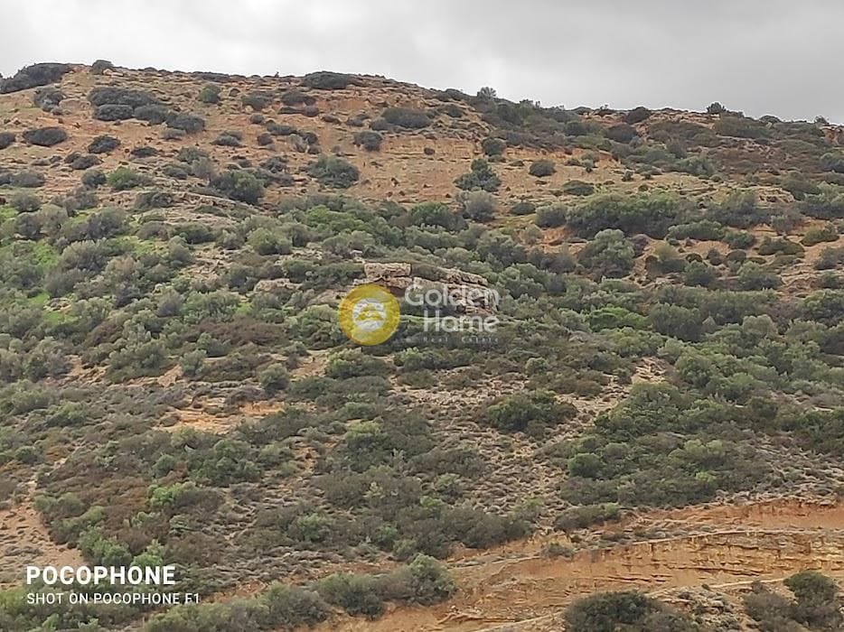 Αγροτεμάχιο στην Ξηρόκαμπος, Τυμπάκι — Φωτογραφία 21 από 21
