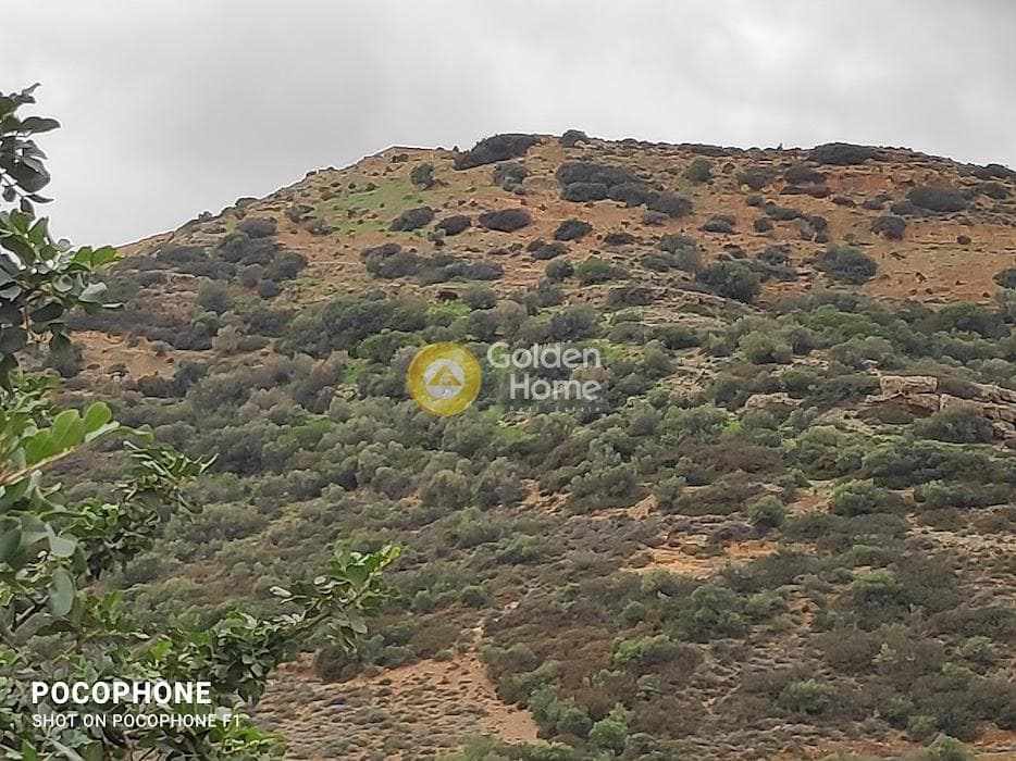 Αγροτεμάχιο στην Ξηρόκαμπος, Τυμπάκι — Φωτογραφία 19 από 21