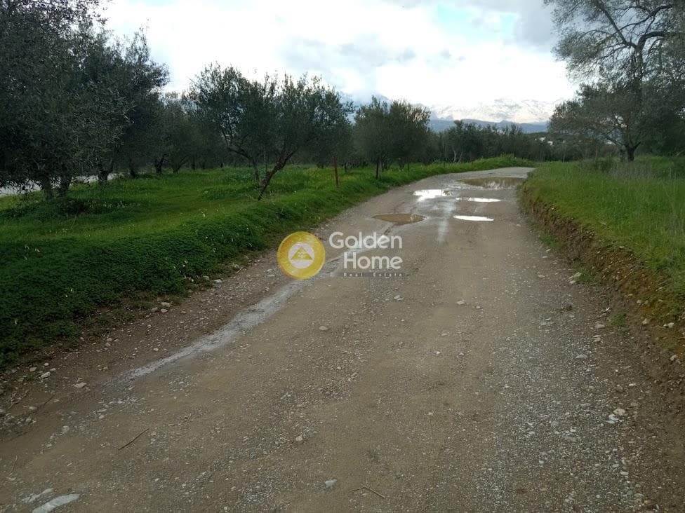 Αγροτεμάχιο στην Κουσές, Μοίρες — Φωτογραφία 5 από 14