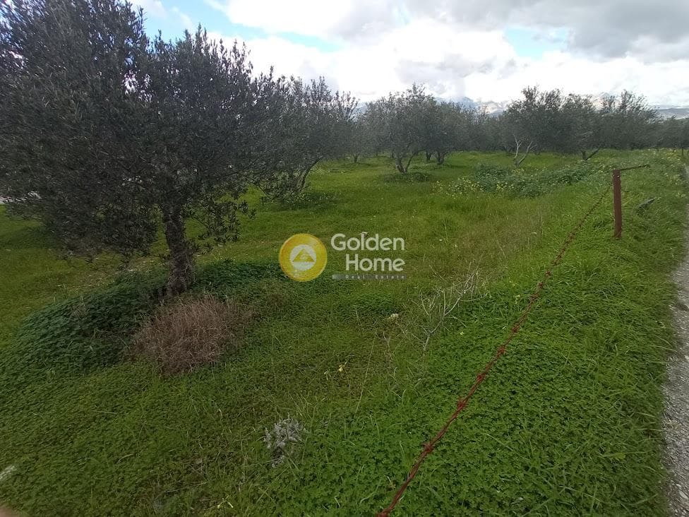 Αγροτεμάχιο στην Κουσές, Μοίρες — Φωτογραφία 6 από 14