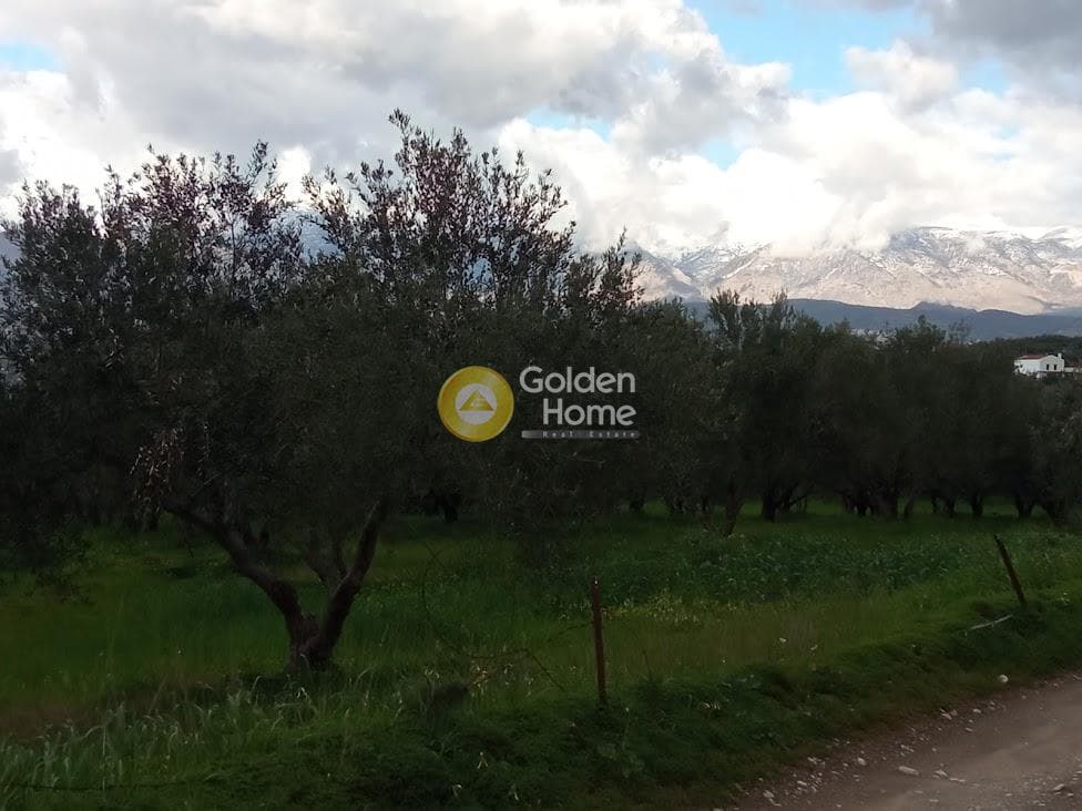 Αγροτεμάχιο στην Κουσές, Μοίρες — Φωτογραφία 7 από 14