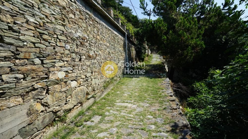 House in Center, Makrinitsa — Photo 13 of 24