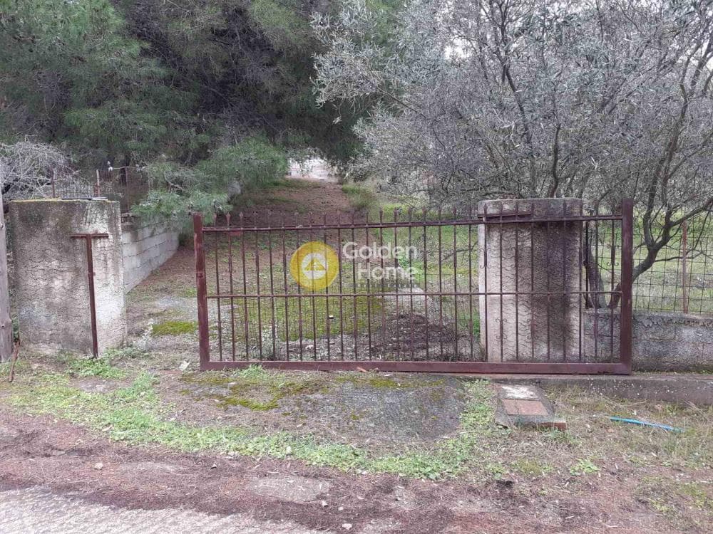 House in Dionisos, Keratea — Photo 19 of 44