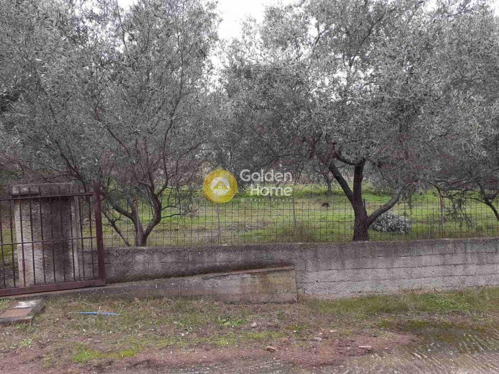 House in Dionisos, Keratea — Photo 13 of 44