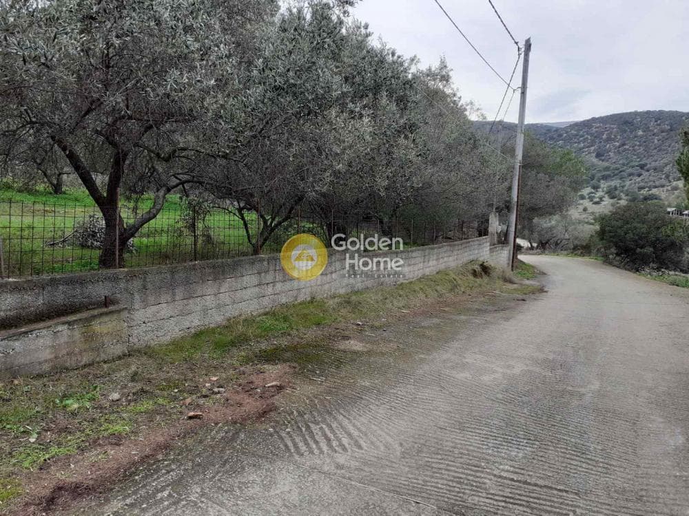 House in Dionisos, Keratea — Photo 14 of 44