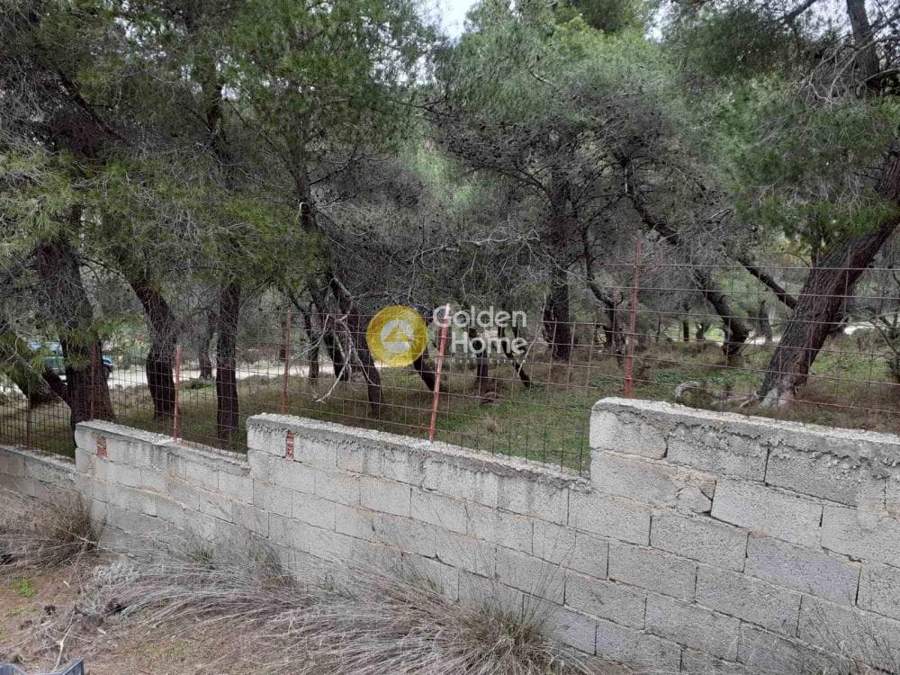 House in Dionisos, Keratea — Photo 30 of 44