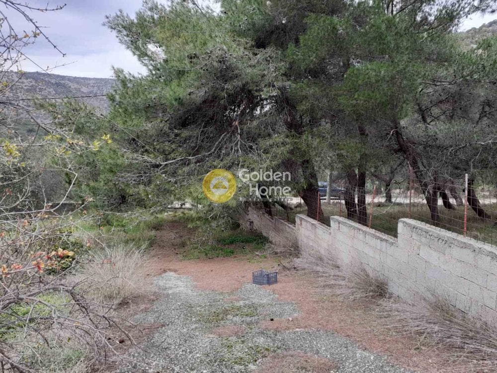 House in Dionisos, Keratea — Photo 31 of 44