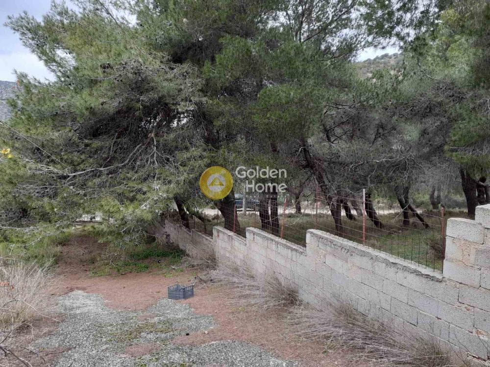 House in Dionisos, Keratea — Photo 36 of 44