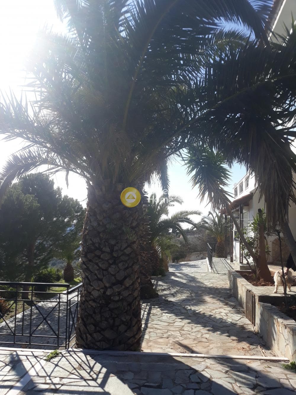 Μονοκατοικία στην Αγία Μαρίνα, Κορωπί — Φωτογραφία 81 από 99