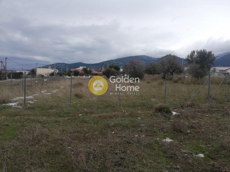 Οικόπεδο στην Μεγάλα Σχοινία Α, Αχαρνές — Φωτογραφία 2 από 4