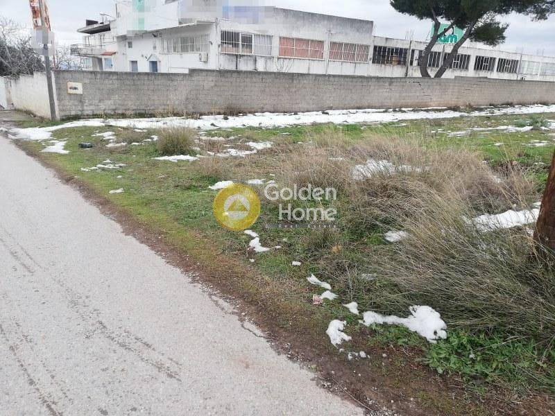 Αγροτεμάχιο στην Μεγάλα Σχοινία Α, Αχαρνές — Φωτογραφία 2 από 3