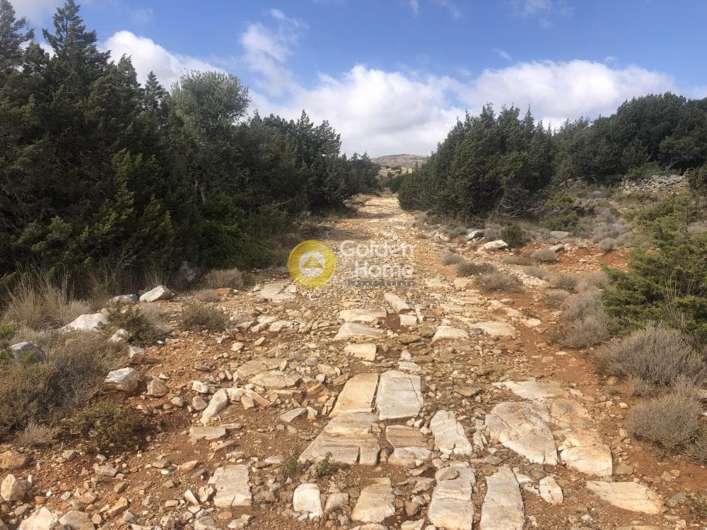 Parcel in Lefkes, Paros — Photo 6 of 8