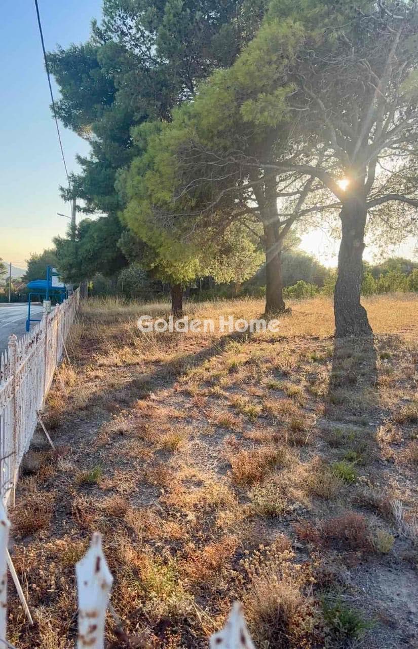 Οικόπεδο στην Καλλιθέα, Πεντέλη — Φωτογραφία 8 από 8