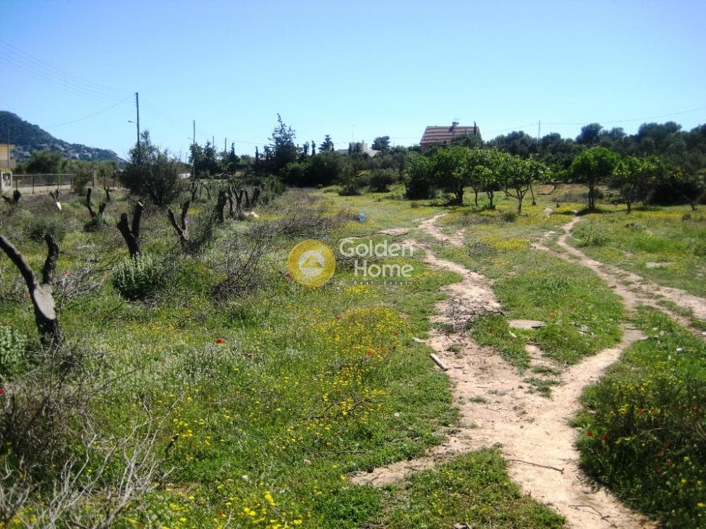 Building Plot in Agia Marina, Koropi — Photo 1 of 3