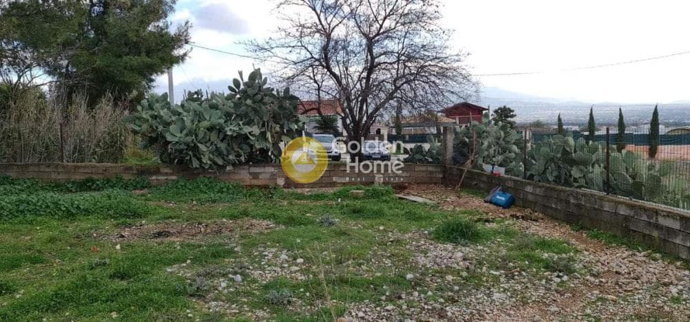 Building Plot in Megala Sxoinia A, Acharnes — Photo 1 of 2