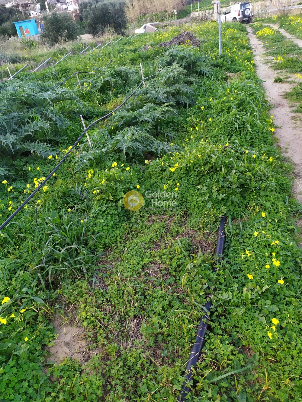 Building Plot in Gournes, Gouves — Photo 11 of 21