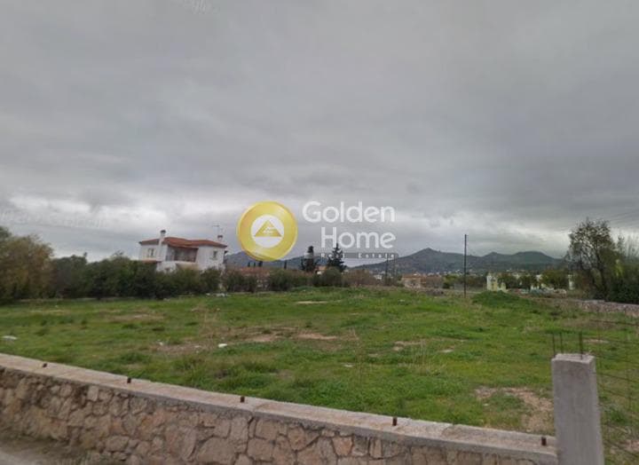 Οικόπεδο στην Κυψέλη, Αίγινα