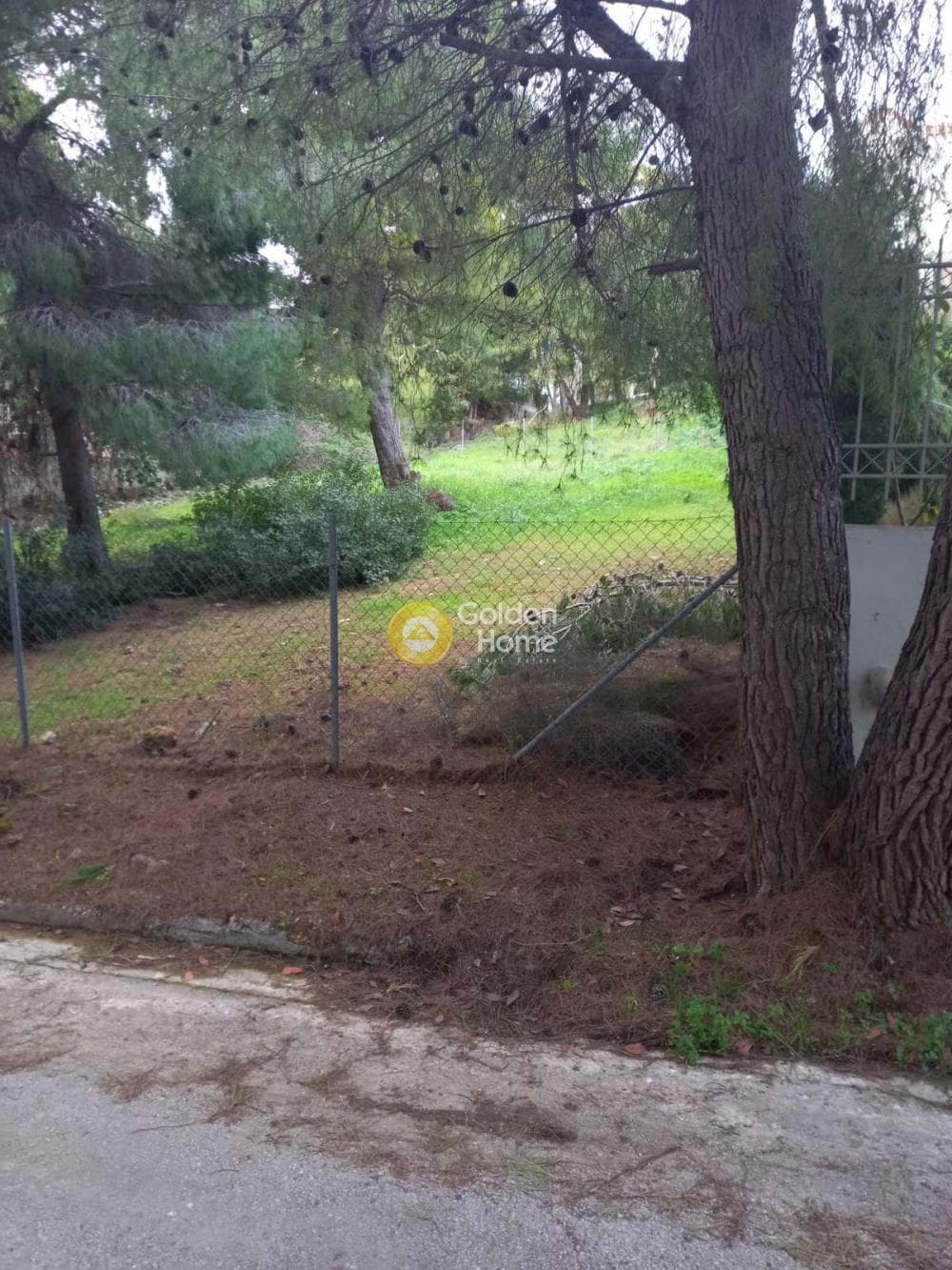 Building Plot in Dioni, Pikermi — Photo 3 of 4