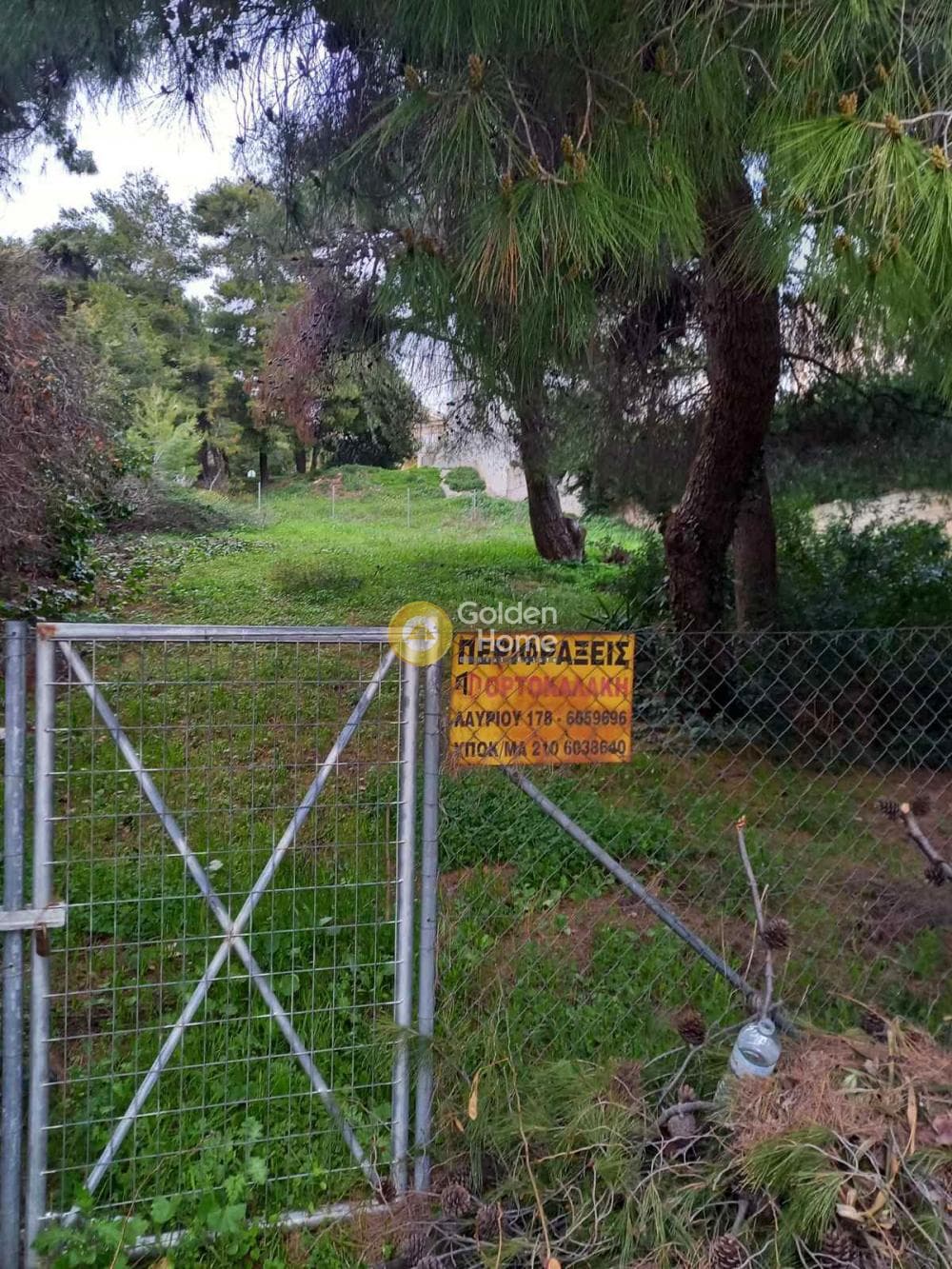 Building Plot in Dioni, Pikermi — Photo 4 of 4