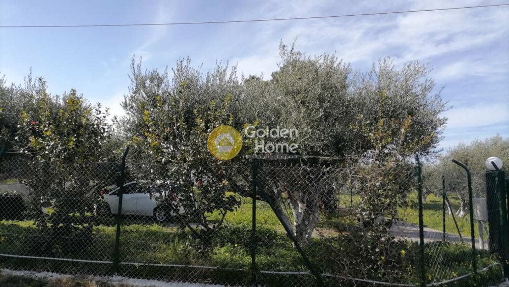 Building Plot in Sgourokefali, Episkopi — Photo 2 of 35