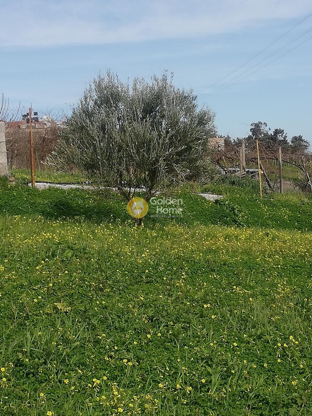Building Plot in Sgourokefali, Episkopi — Photo 7 of 35