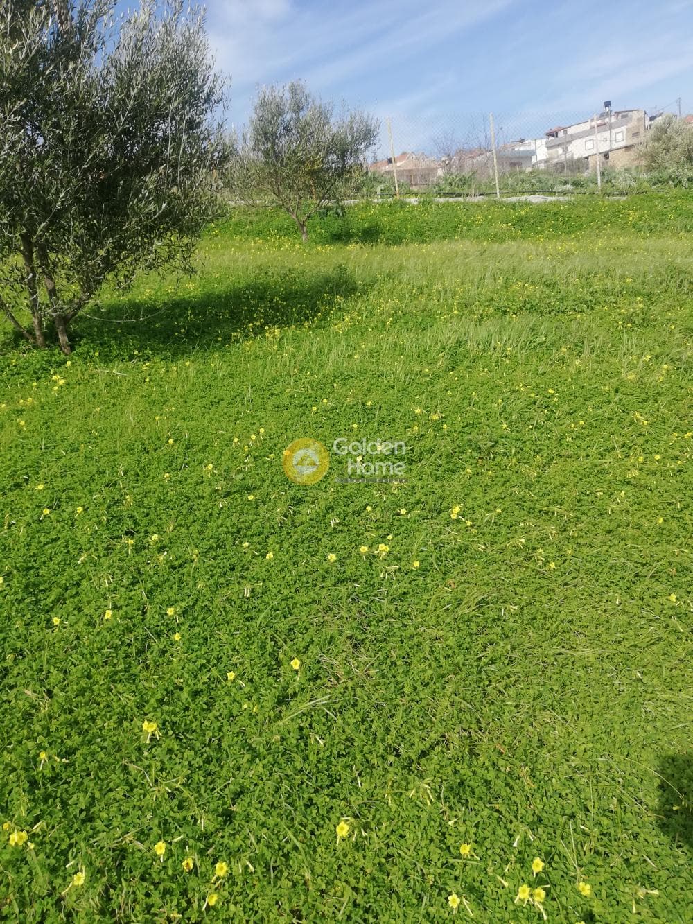 Building Plot in Sgourokefali, Episkopi — Photo 13 of 35