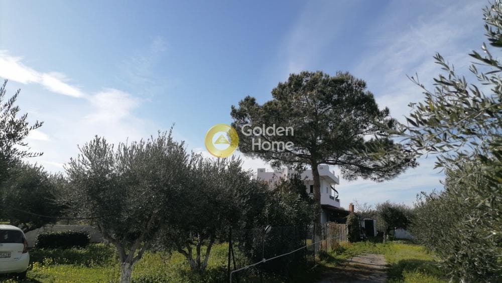 Building Plot in Sgourokefali, Episkopi — Photo 18 of 35