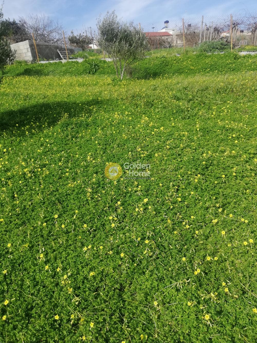 Building Plot in Sgourokefali, Episkopi — Photo 32 of 35