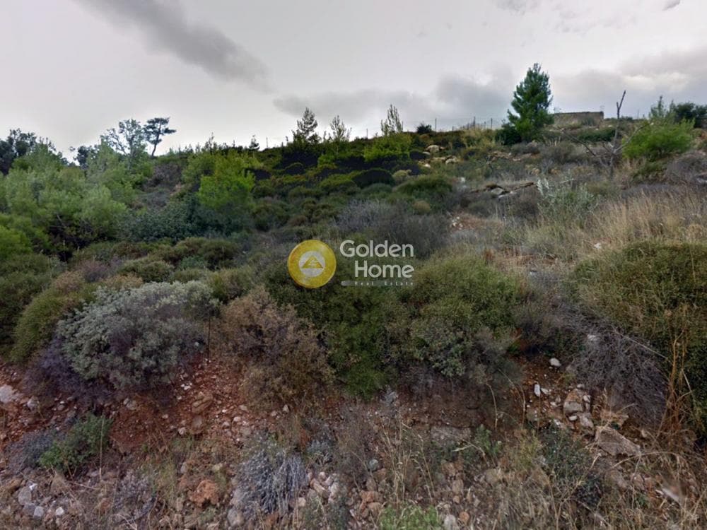 Οικόπεδο στην Δασαμάρι, Πικέρμι