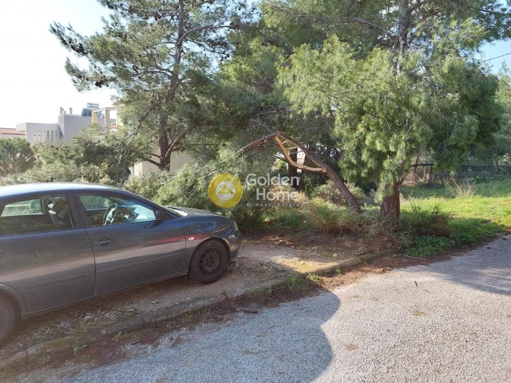 Μονοκατοικία στην Ντράφι, Πικέρμι — Φωτογραφία 10 από 15