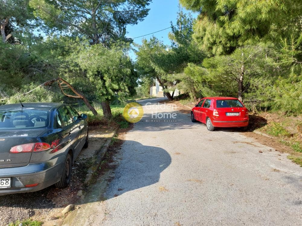 Μονοκατοικία στην Ντράφι, Πικέρμι — Φωτογραφία 11 από 15
