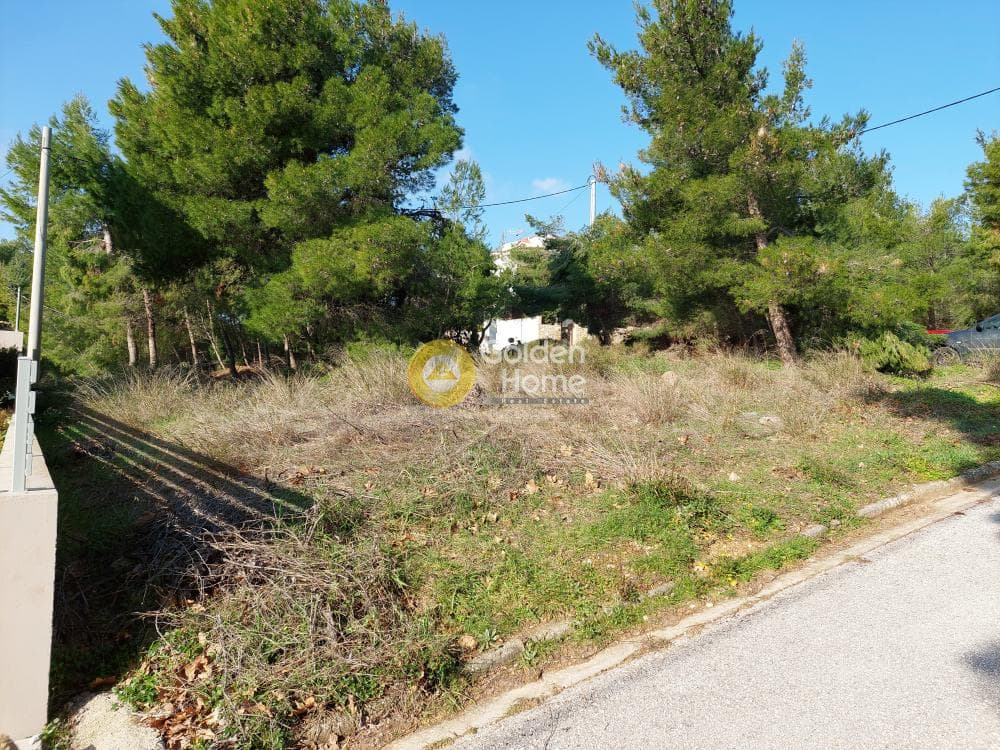 Μονοκατοικία στην Ντράφι, Πικέρμι — Φωτογραφία 9 από 15