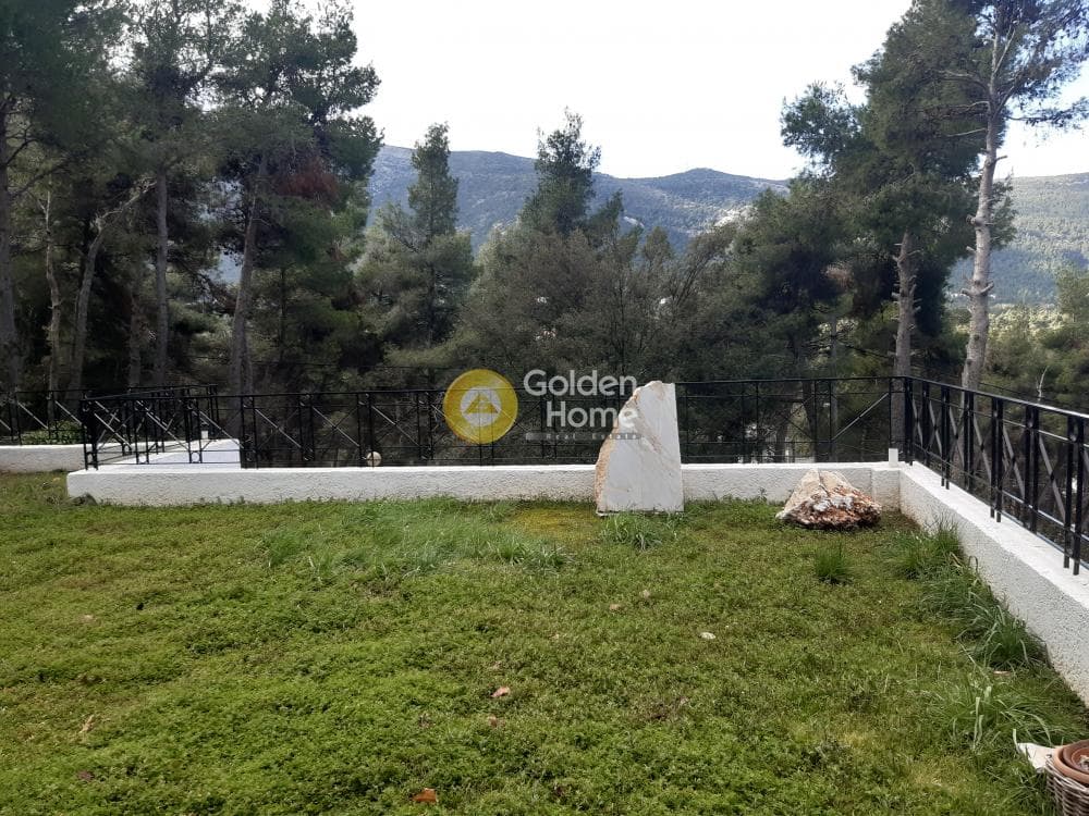 Building Plot in Rodopoli, Rodopoli — Photo 4 of 12