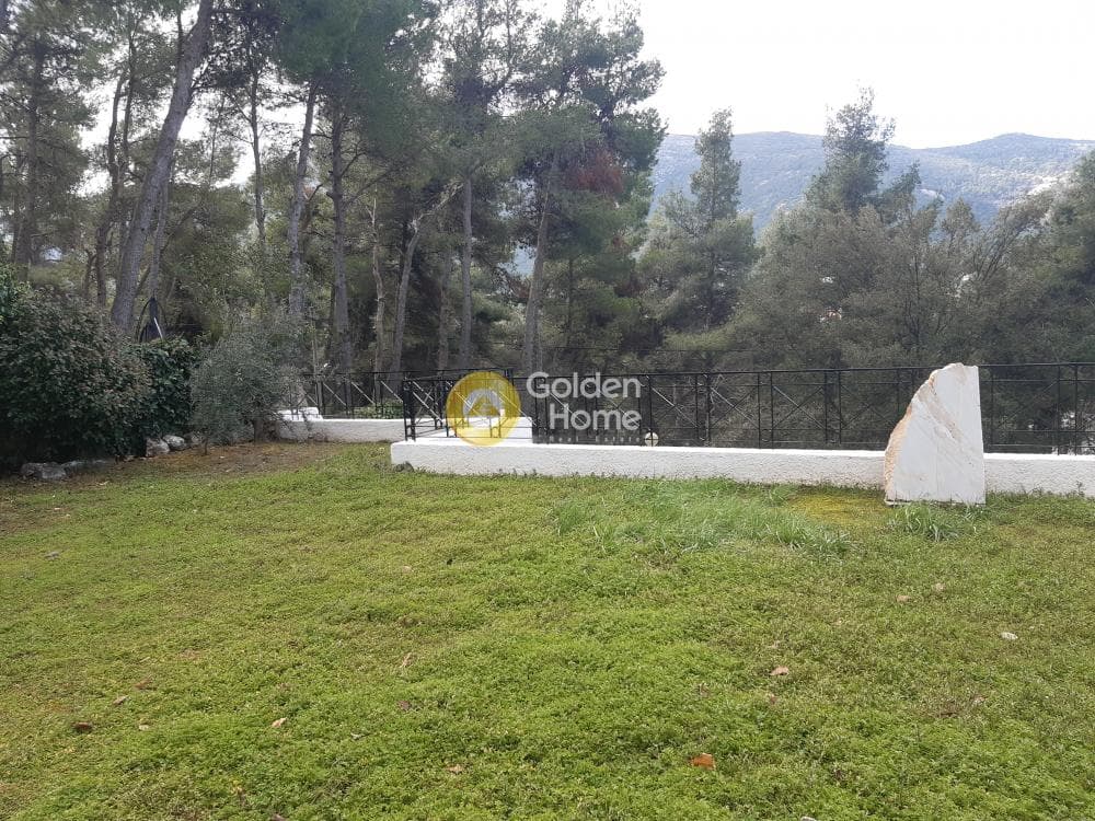 Building Plot in Rodopoli, Rodopoli — Photo 5 of 12
