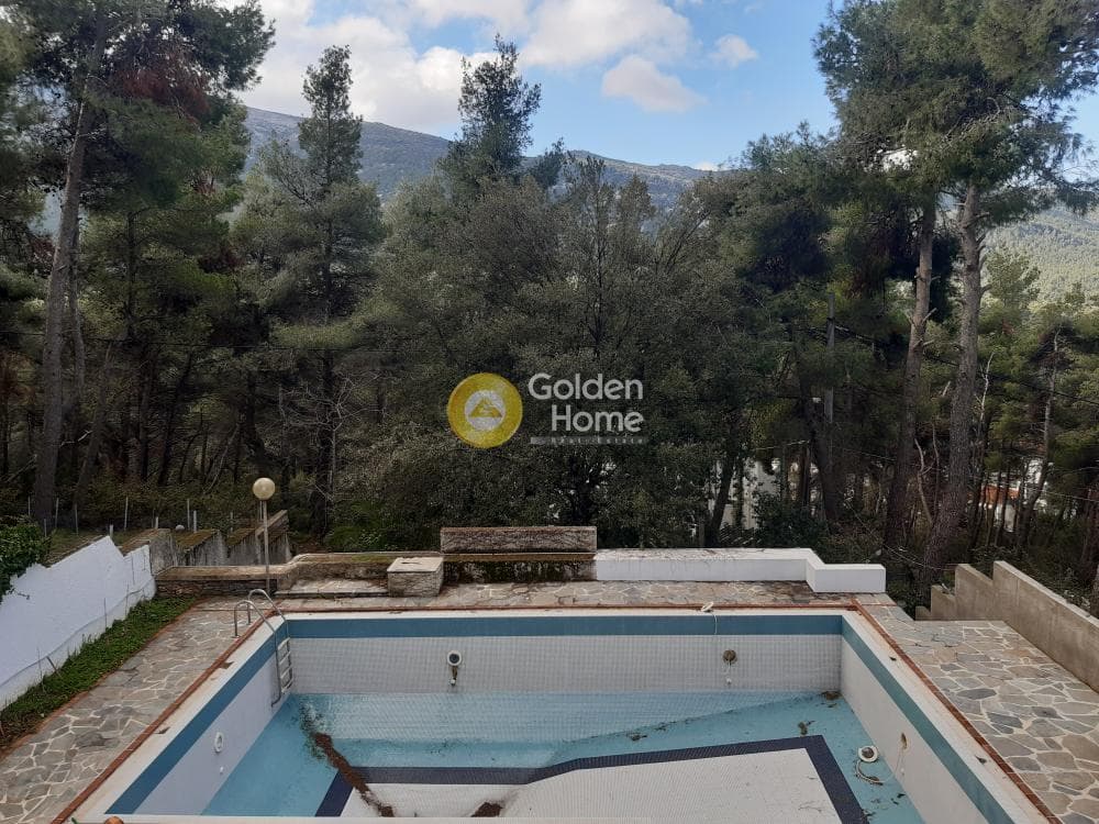 Building Plot in Rodopoli, Rodopoli — Photo 11 of 12