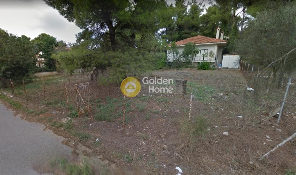 Parcel in Agioi Aggeloi, Anoixi — Photo 1 of 8