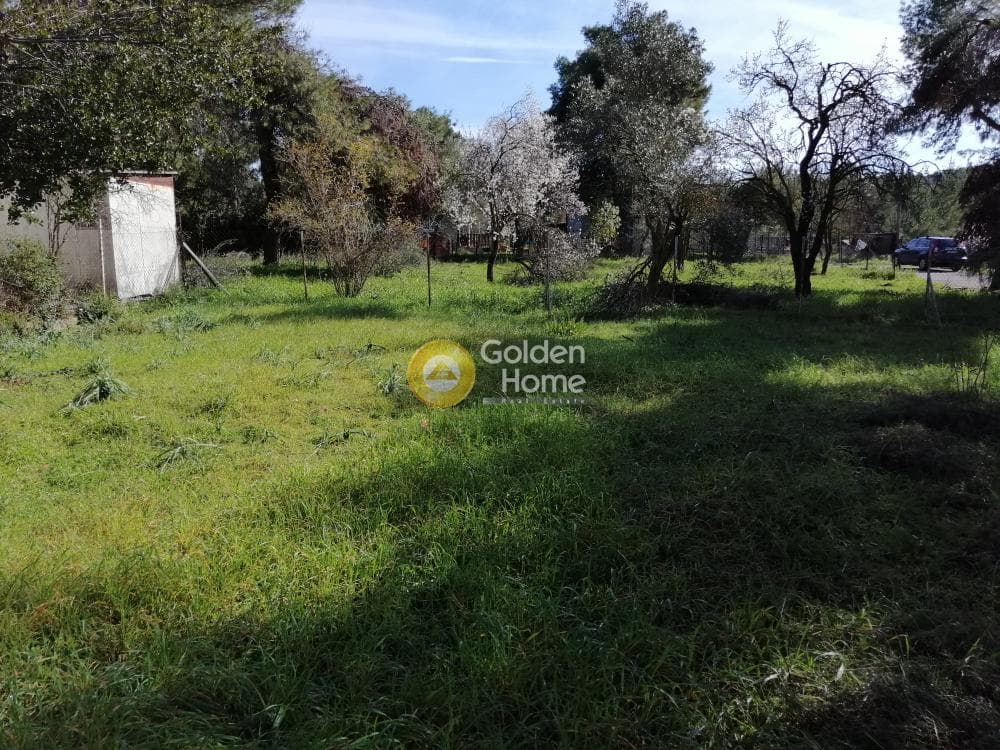 Parcel in Agioi Aggeloi, Anoixi — Photo 4 of 8