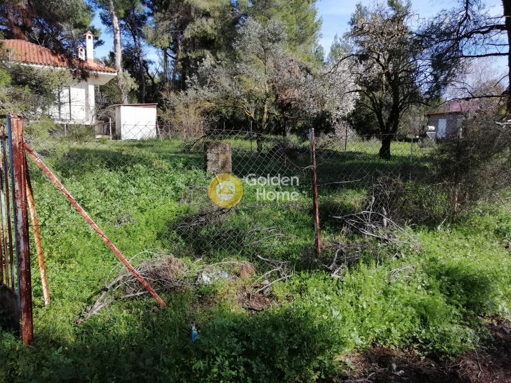 Parcel in Agioi Aggeloi, Anoixi — Photo 6 of 8