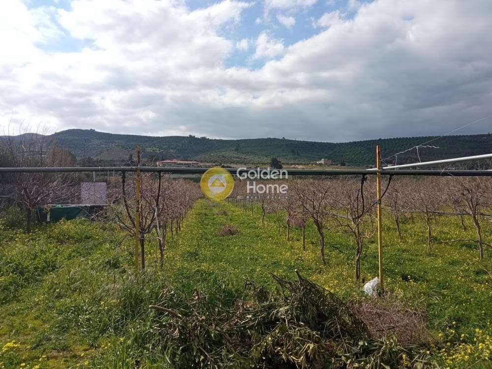 Building Plot in Zervou Metochi, Temenos — Photo 1 of 7