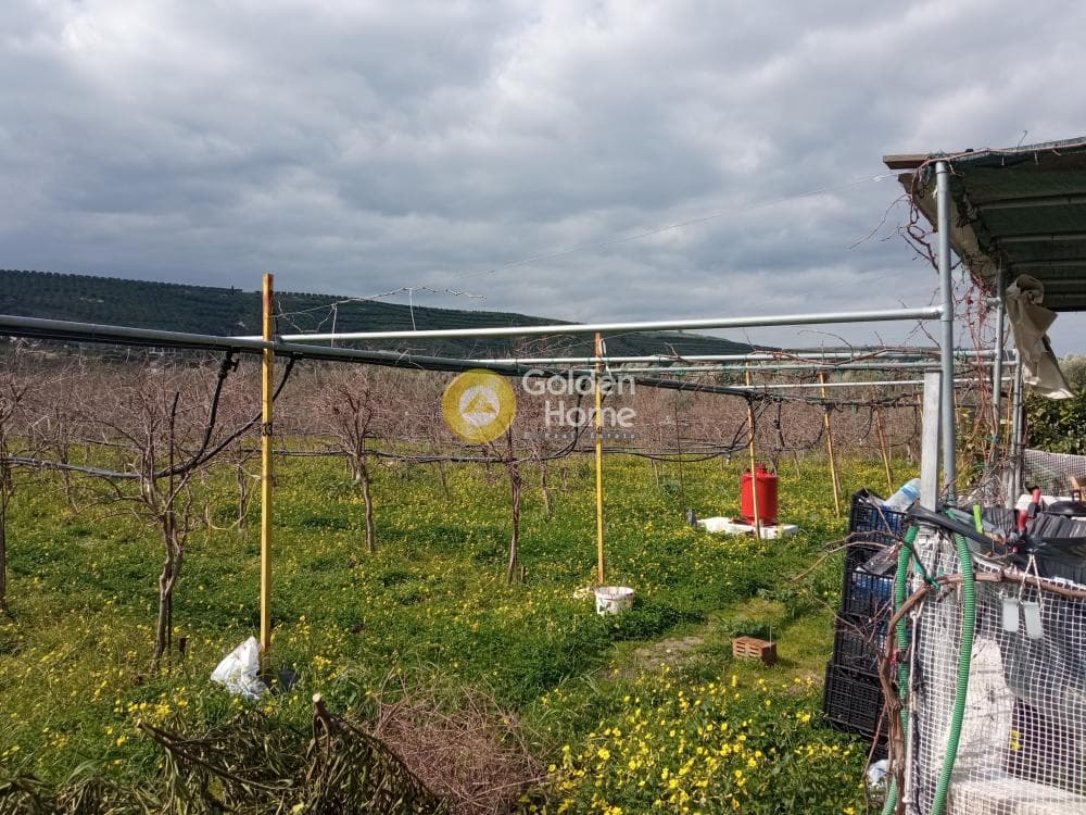 Building Plot in Zervou Metochi, Temenos — Photo 3 of 7