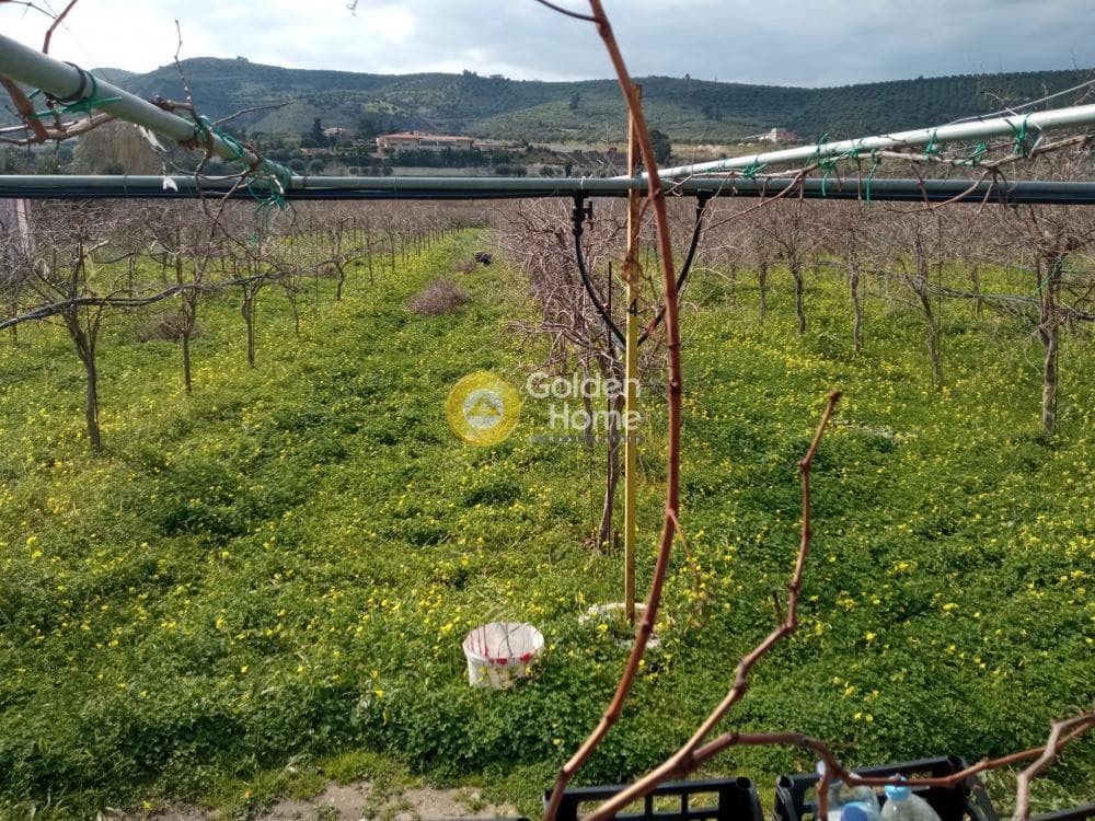 Building Plot in Zervou Metochi, Temenos — Photo 2 of 7