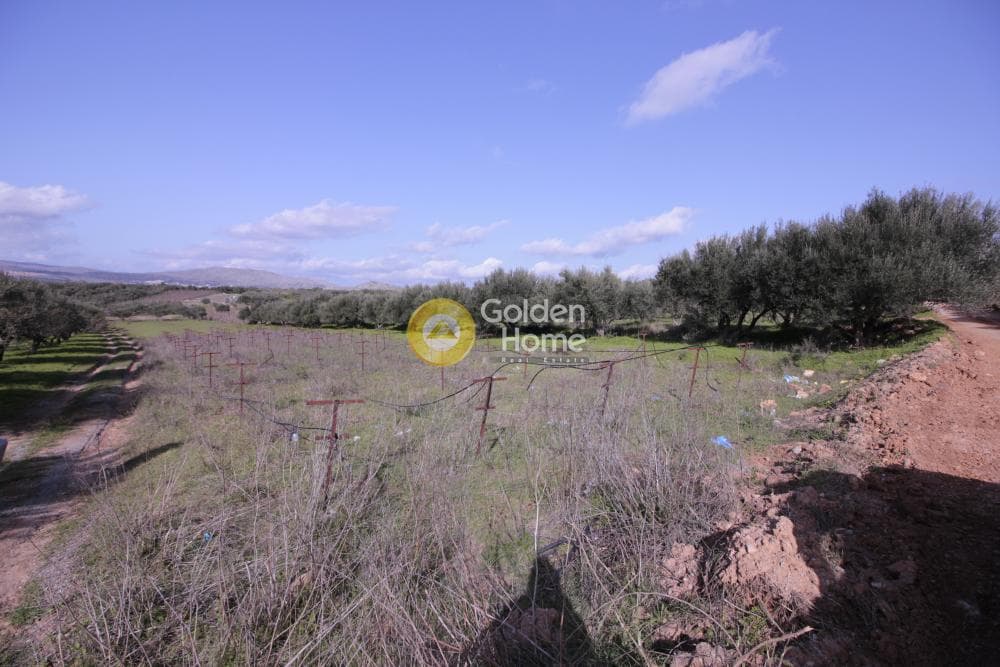 Building Plot in Roussochoria, Arkalochori — Photo 4 of 38
