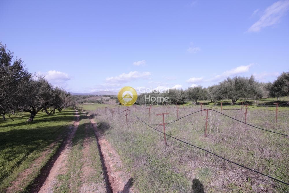 Building Plot in Roussochoria, Arkalochori — Photo 5 of 38