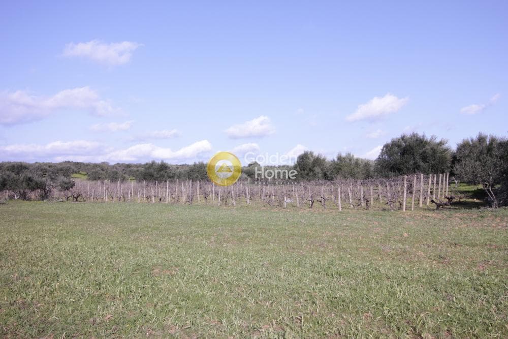 Building Plot in Roussochoria, Arkalochori — Photo 10 of 38