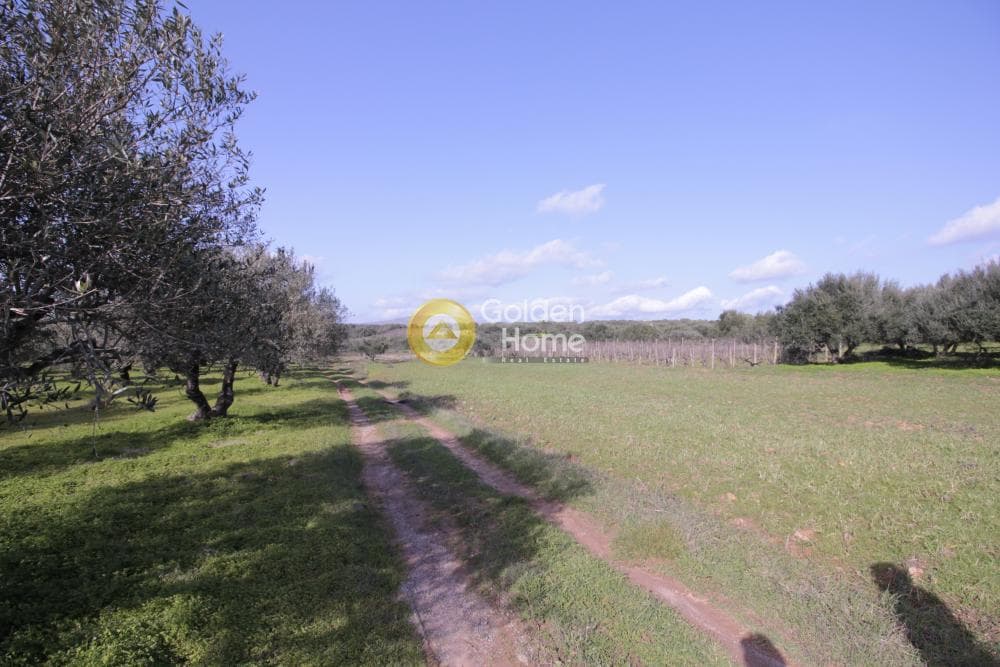 Building Plot in Roussochoria, Arkalochori — Photo 11 of 38